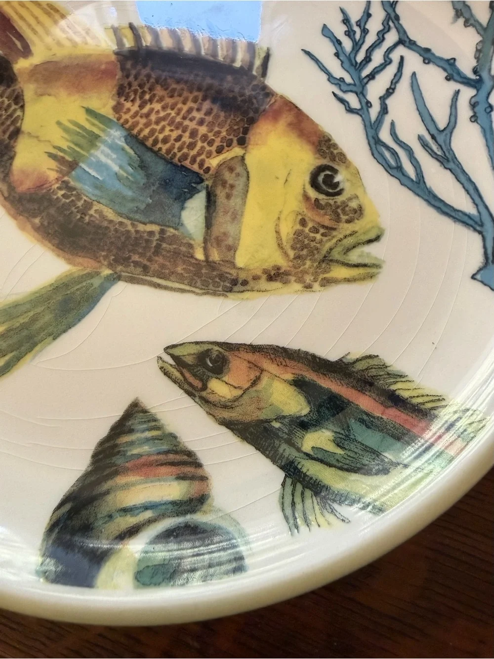 Williams Sonoma 2012 Poisson Marc Lacaze 4 fish plates + original box (Crazing)